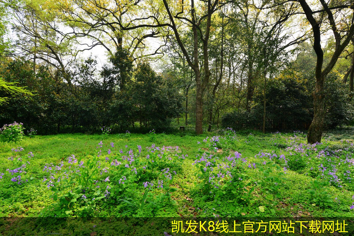 如何利用安防監(jiān)控進行員工考核