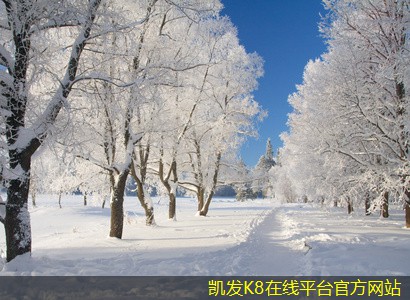 如何利用門(mén)禁考勤提升團(tuán)隊(duì)協(xié)作