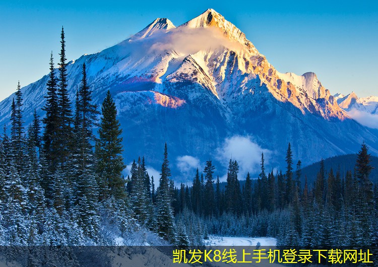 如何利用門禁考勤系統(tǒng)改善團(tuán)隊協(xié)作