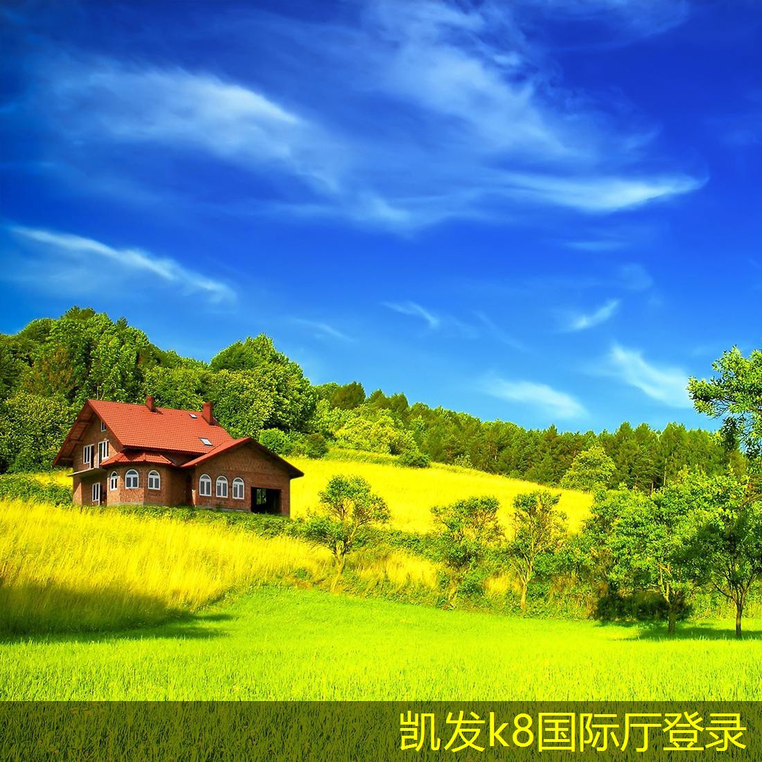 如何利用集團電話進行有效的會議