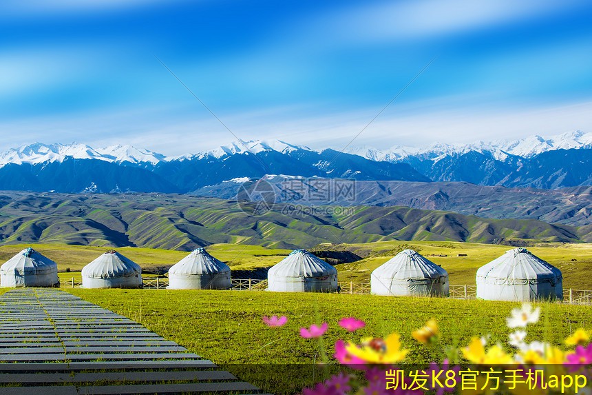 如何在視頻會議中使用白板工具
