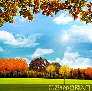 如何提高辦公場所的無線WIFI效率
