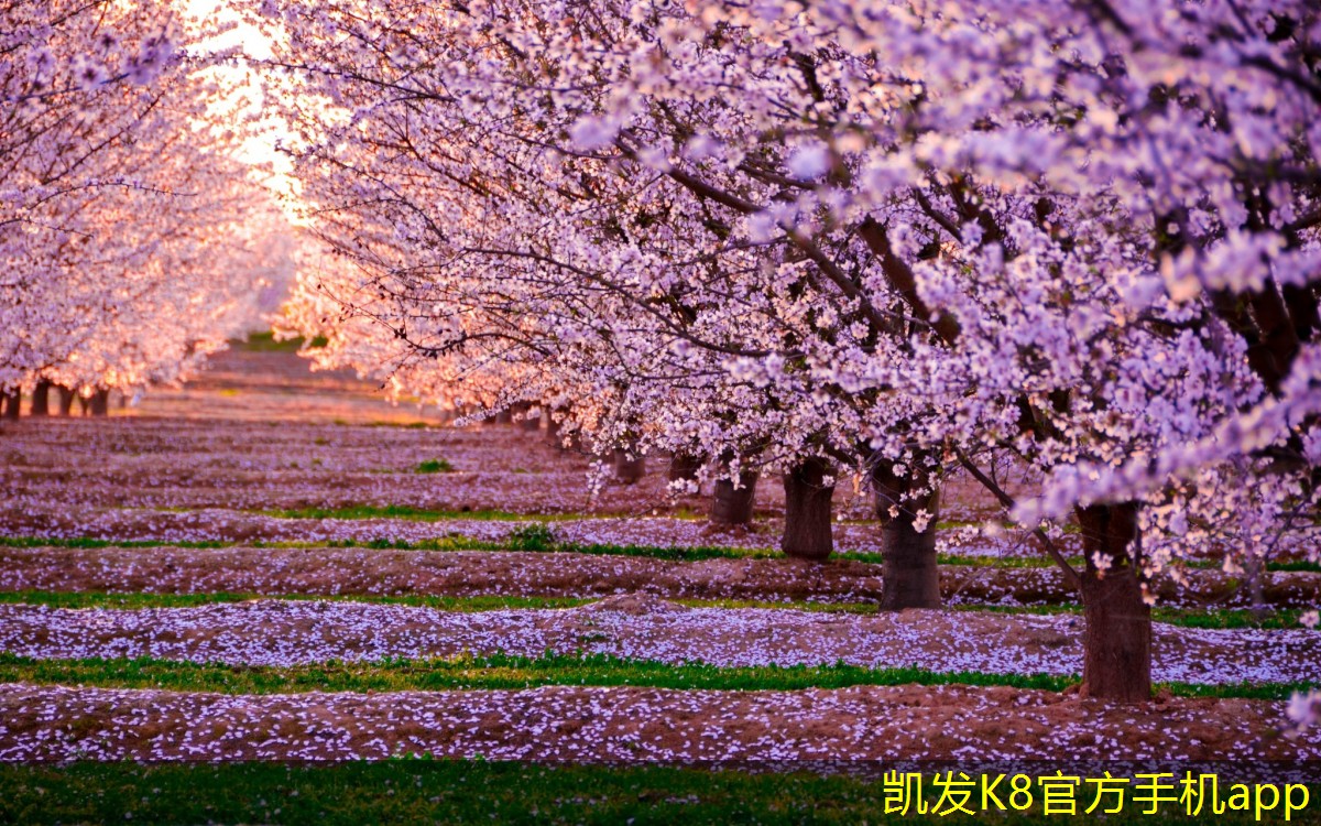 如何整合不同品牌的安防監(jiān)控設備