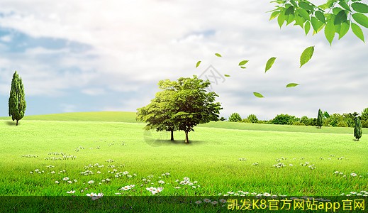 如何確保安防監(jiān)控?cái)?shù)據(jù)的安全性
