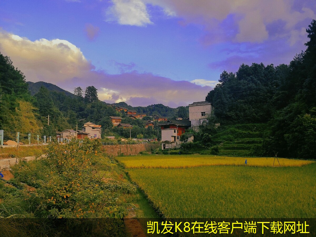 如何進行機房建設(shè)的市場調(diào)研