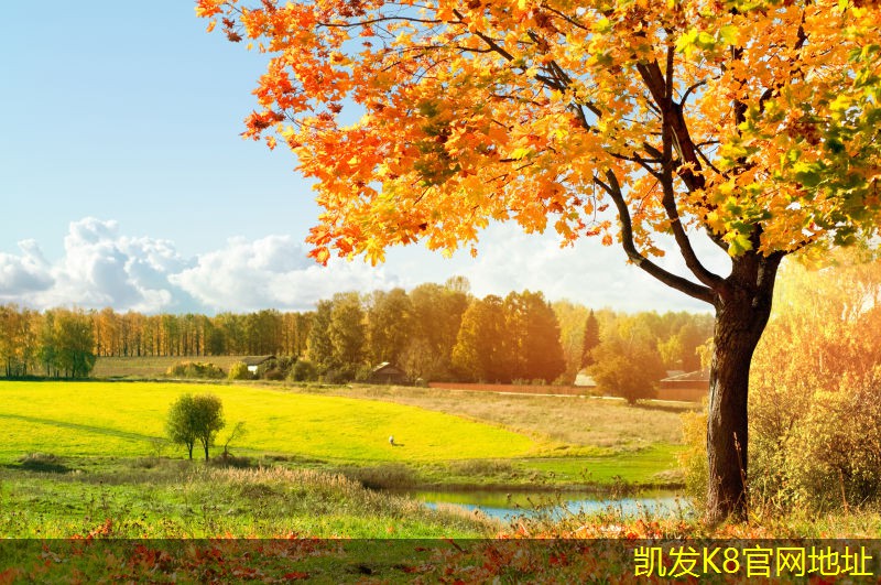 如何通過紅外報警提升個人安全意識