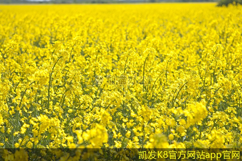 如何通過(guò)集團(tuán)電話(huà)提升團(tuán)隊(duì)士氣