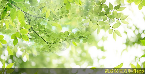 如何避免網(wǎng)絡(luò)布線的重復投資