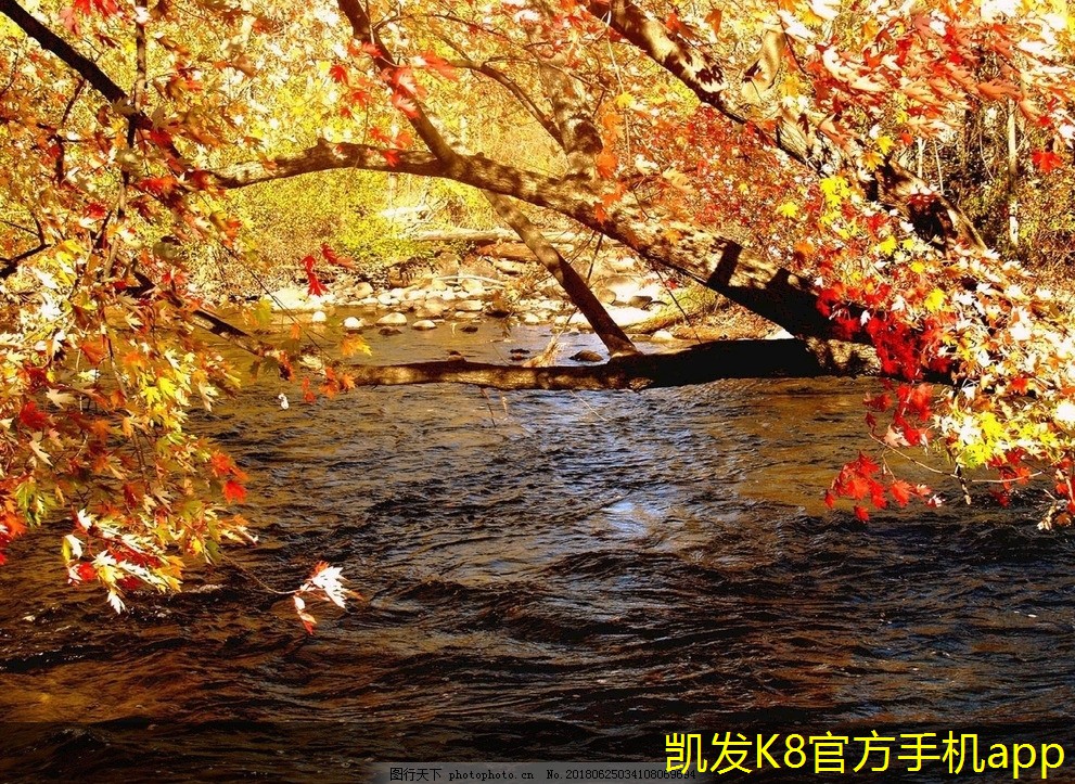 安防監(jiān)控技術(shù)的國(guó)際發(fā)展動(dòng)態(tài)