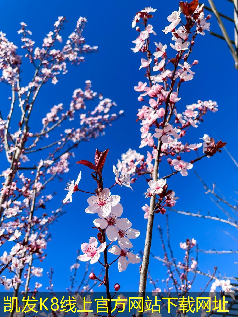 安防監(jiān)控的未來技術(shù)展望