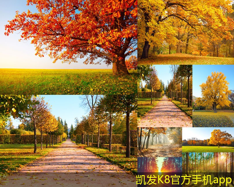 安防監(jiān)控系統(tǒng)的升級(jí)與改造