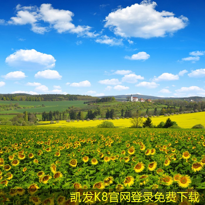 安防監(jiān)控系統(tǒng)的遠程訪問技巧