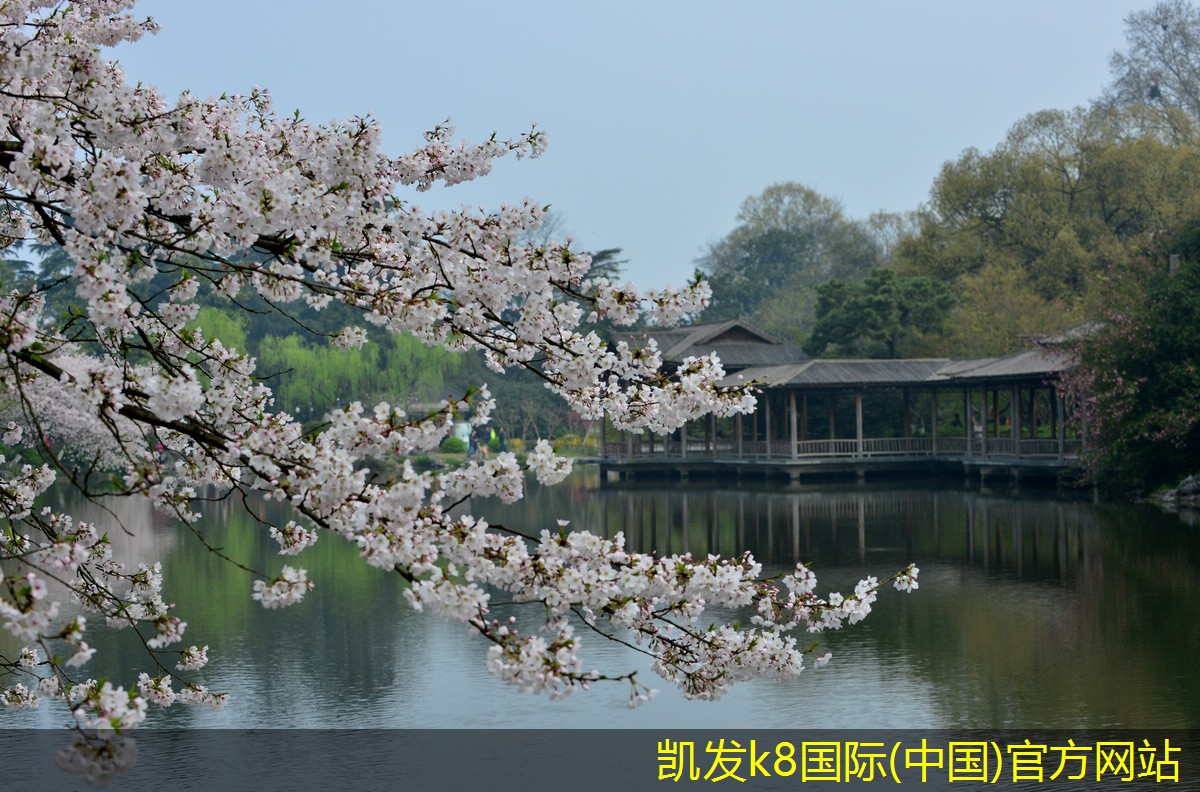 實(shí)現(xiàn)無(wú)縫視頻會(huì)議的網(wǎng)絡(luò)要求
