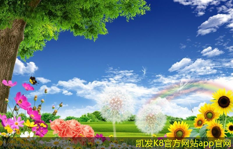 家庭安防監(jiān)控的最佳實踐