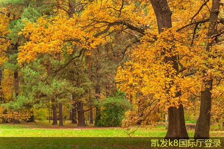 常見(jiàn)無(wú)線WIFI故障及處理方法
