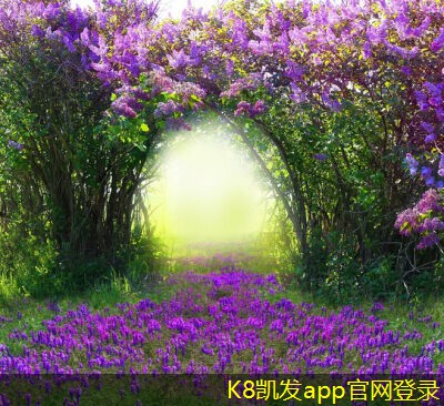 提高機(jī)房建設(shè)效率的工具和方法