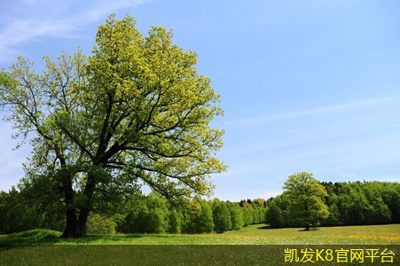 無線WIFI信號(hào)增強(qiáng)器的使用技巧