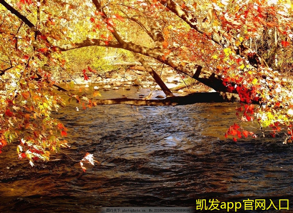 無(wú)線WIFI網(wǎng)絡(luò)的法律與倫理問(wèn)題