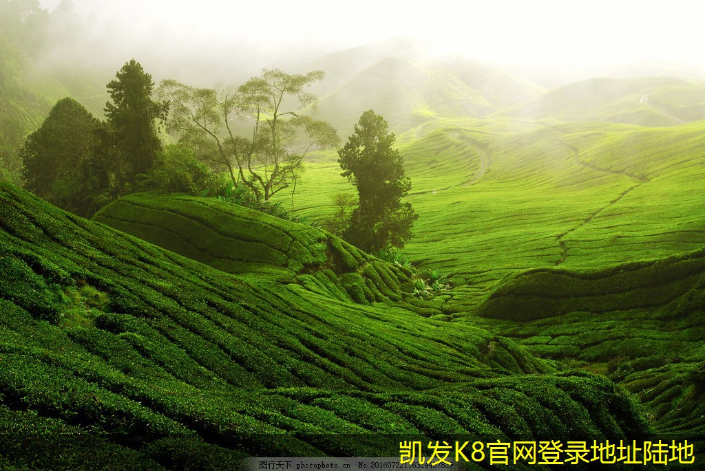 無(wú)線WIFI頻段選擇的注意事項(xiàng)