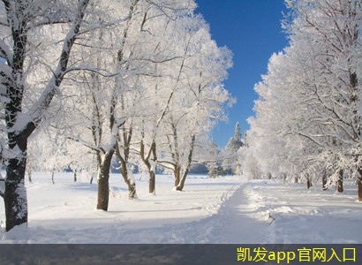 無線安防監(jiān)控技術(shù)的優(yōu)勢與挑戰(zhàn)