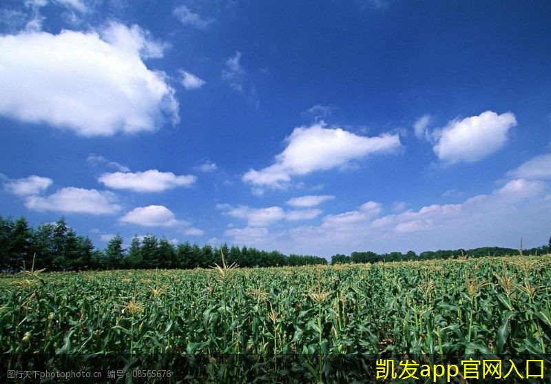 未來紅外報警技術(shù)的趨勢分析