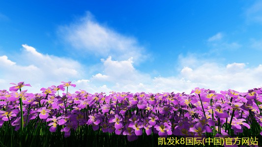 未來(lái)視頻會(huì)議的發(fā)展趨勢(shì)