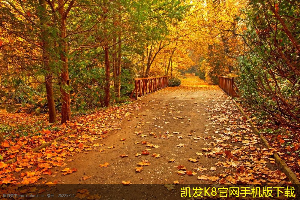 機(jī)房建設(shè)中電力供應(yīng)的可靠性分析