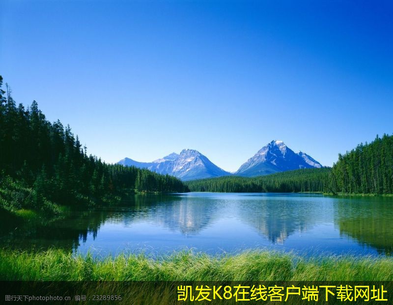 機(jī)房建設(shè)中的可視化管理技術(shù)