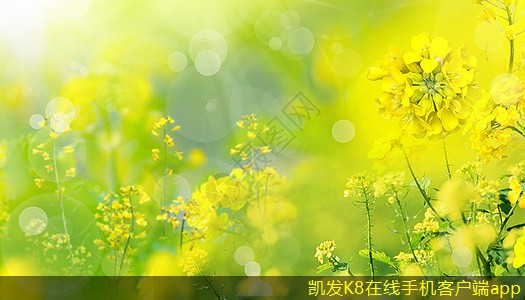 機房建設(shè)中的節(jié)能減排措施