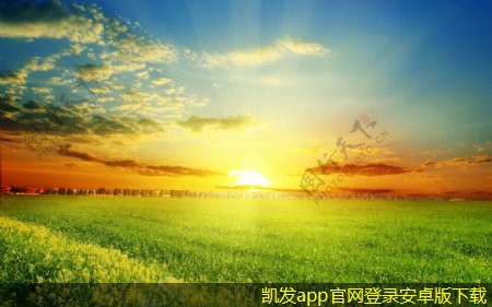 機(jī)房建設(shè)團(tuán)隊(duì)的角色與分工