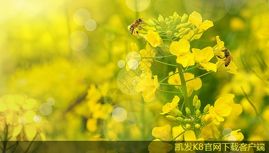 機(jī)房建設(shè)團(tuán)隊(duì)的角色與分工