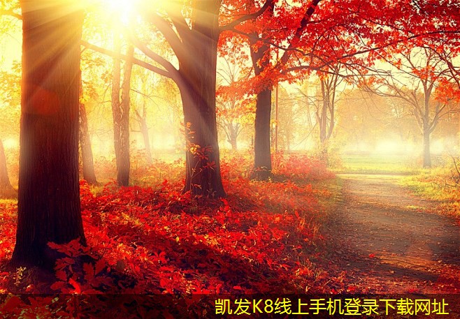 機(jī)房建設(shè)的不同類型與特點