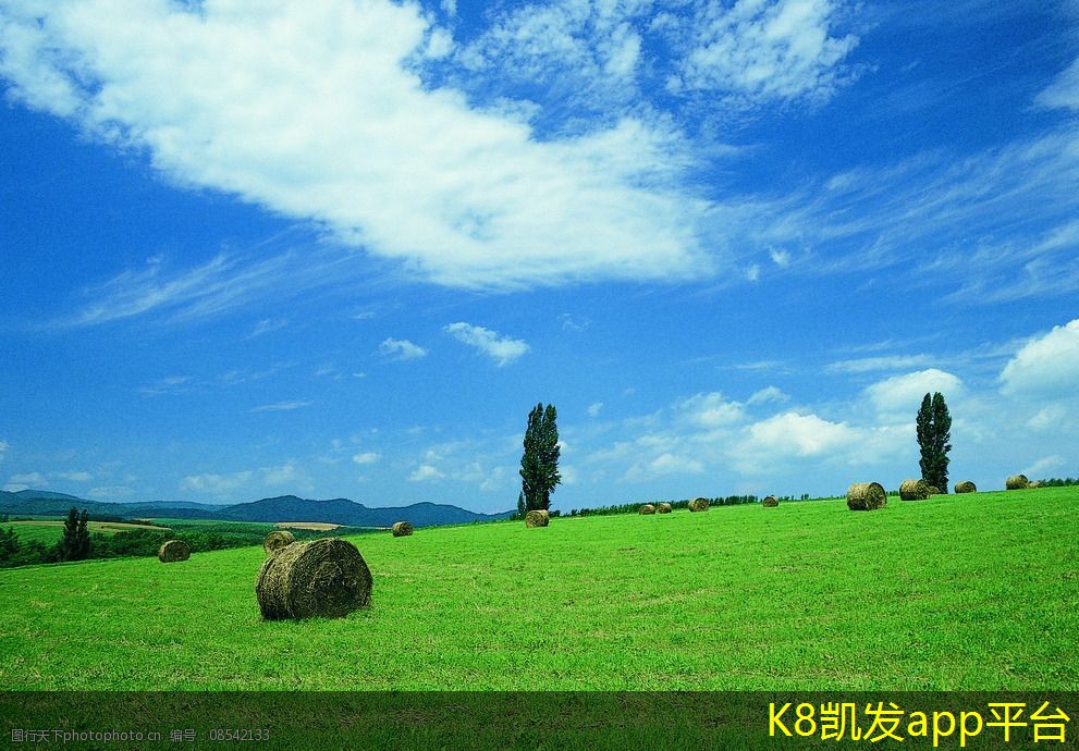 機房建設(shè)的效率提升方法