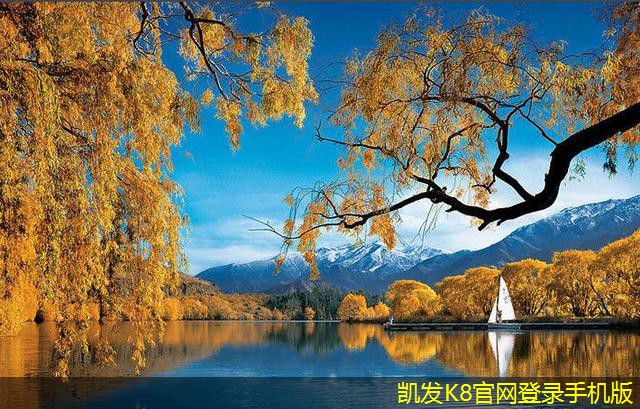 機(jī)房建設(shè)的項目生命周期管理