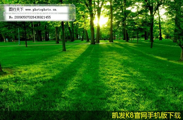 機(jī)房建設(shè)過程中的設(shè)備布局策略