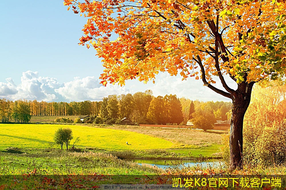 紅外報警與熱釋電傳感器的關(guān)系