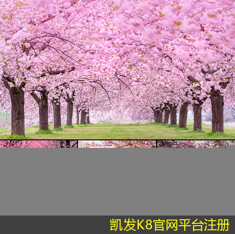 紅外報(bào)警與視頻監(jiān)控的結(jié)合使用