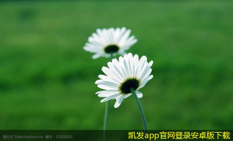 紅外報(bào)警器的安裝高度影響因素