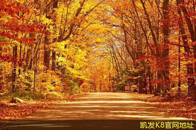紅外報警器的電源管理技巧