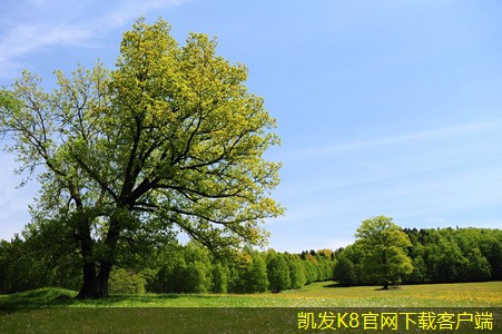紅外報(bào)警在倉(cāng)庫(kù)管理中的應(yīng)用