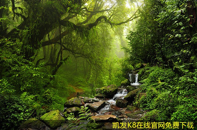 紅外報(bào)警在保護(hù)隱私方面的優(yōu)勢(shì)