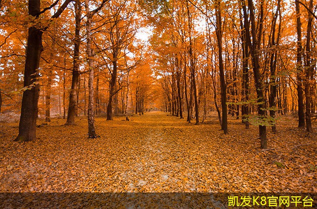 紅外報警在高危行業(yè)的應用案例