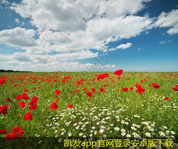 紅外報(bào)警的國際市場發(fā)展現(xiàn)狀