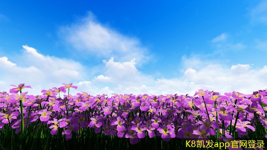 紅外報(bào)警的市場(chǎng)需求分析