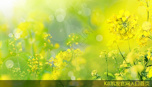 紅外報(bào)警的有效性與局限性