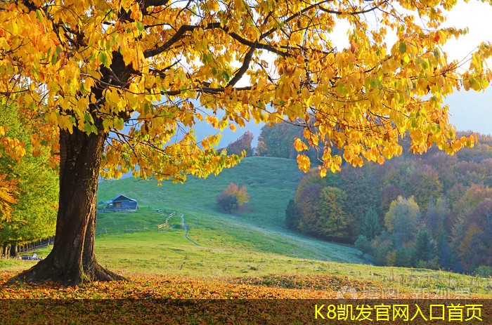紅外報(bào)警的靈敏度設(shè)置方法