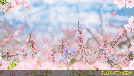 紅外報警系統(tǒng)與監(jiān)控攝像頭的結(jié)合
