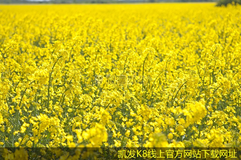 紅外報警系統(tǒng)的安裝步驟詳解