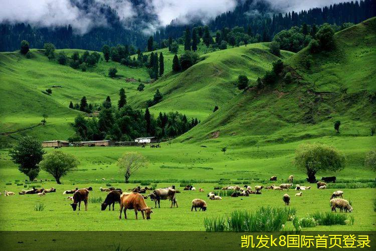紅外報警系統(tǒng)的隱私保護問題