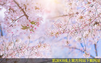 網(wǎng)絡(luò)布線中信號干擾的解決方法